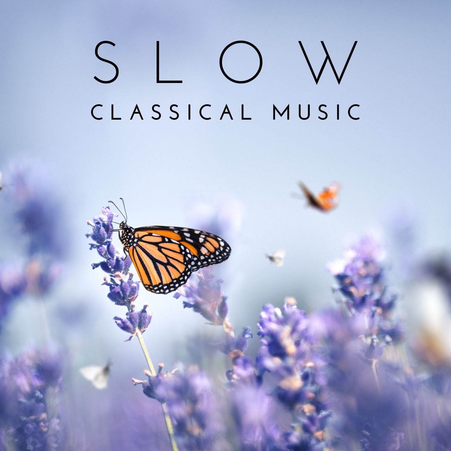 Slow Classical Music 