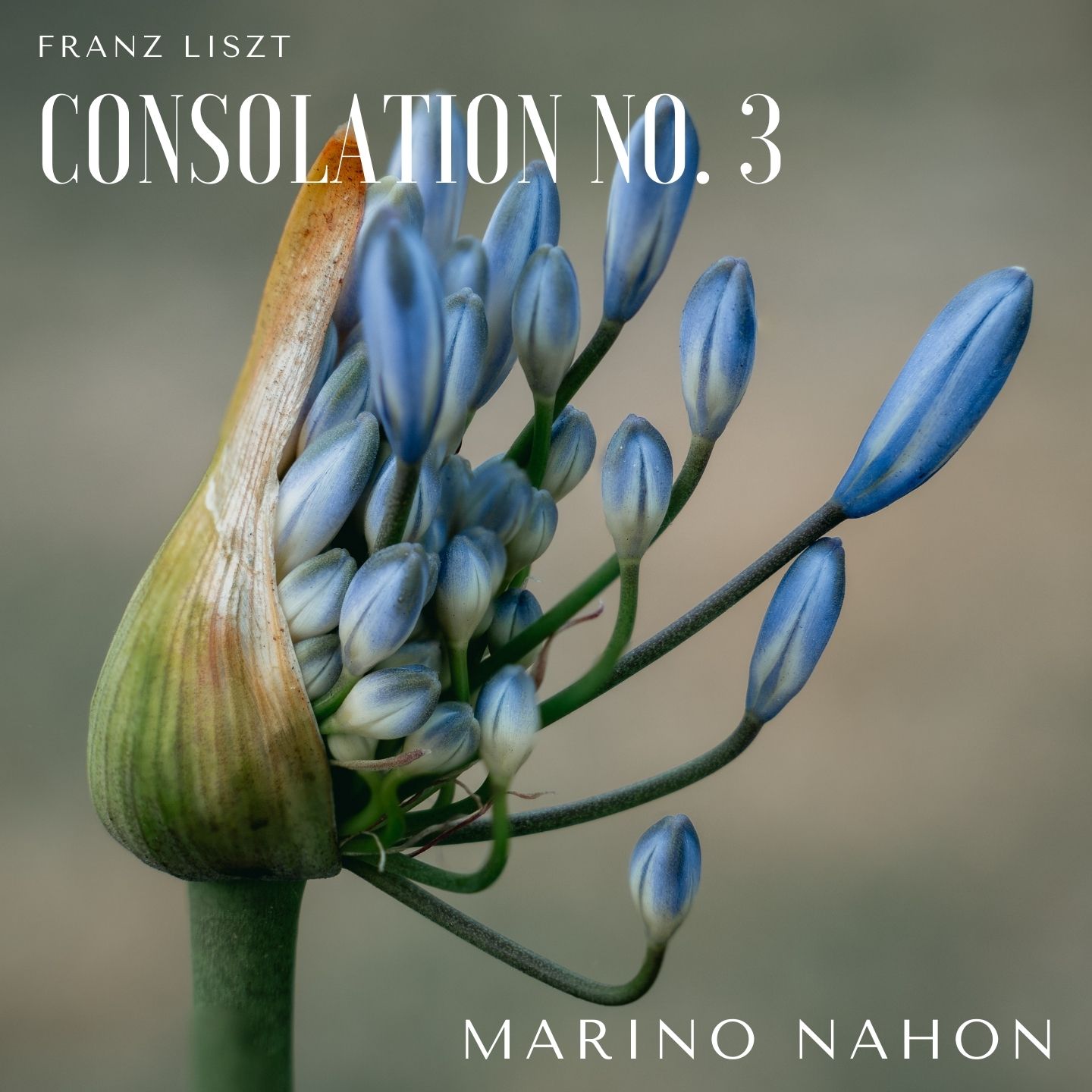 Consolations, S. 172: No. 3 in D-Flat Major