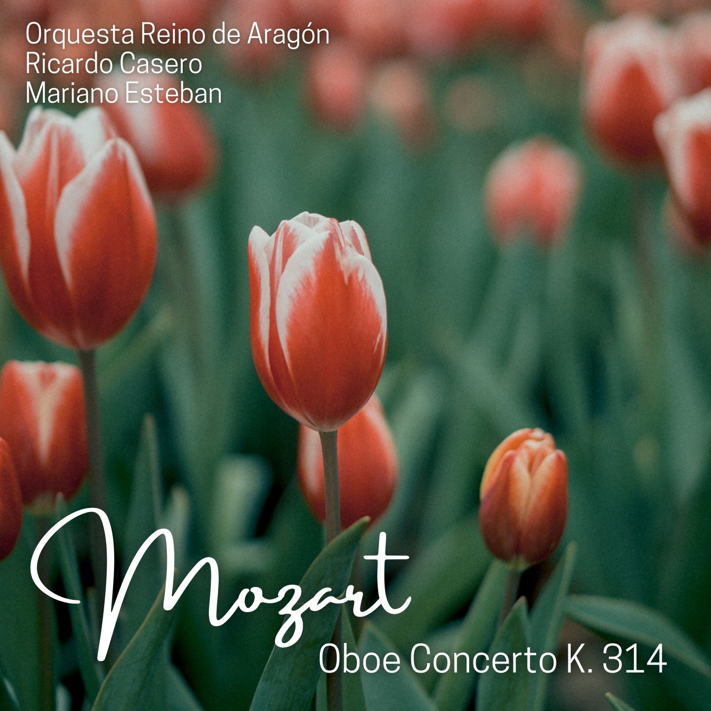 Mozart: Oboe Concerto in C Major, K. 314