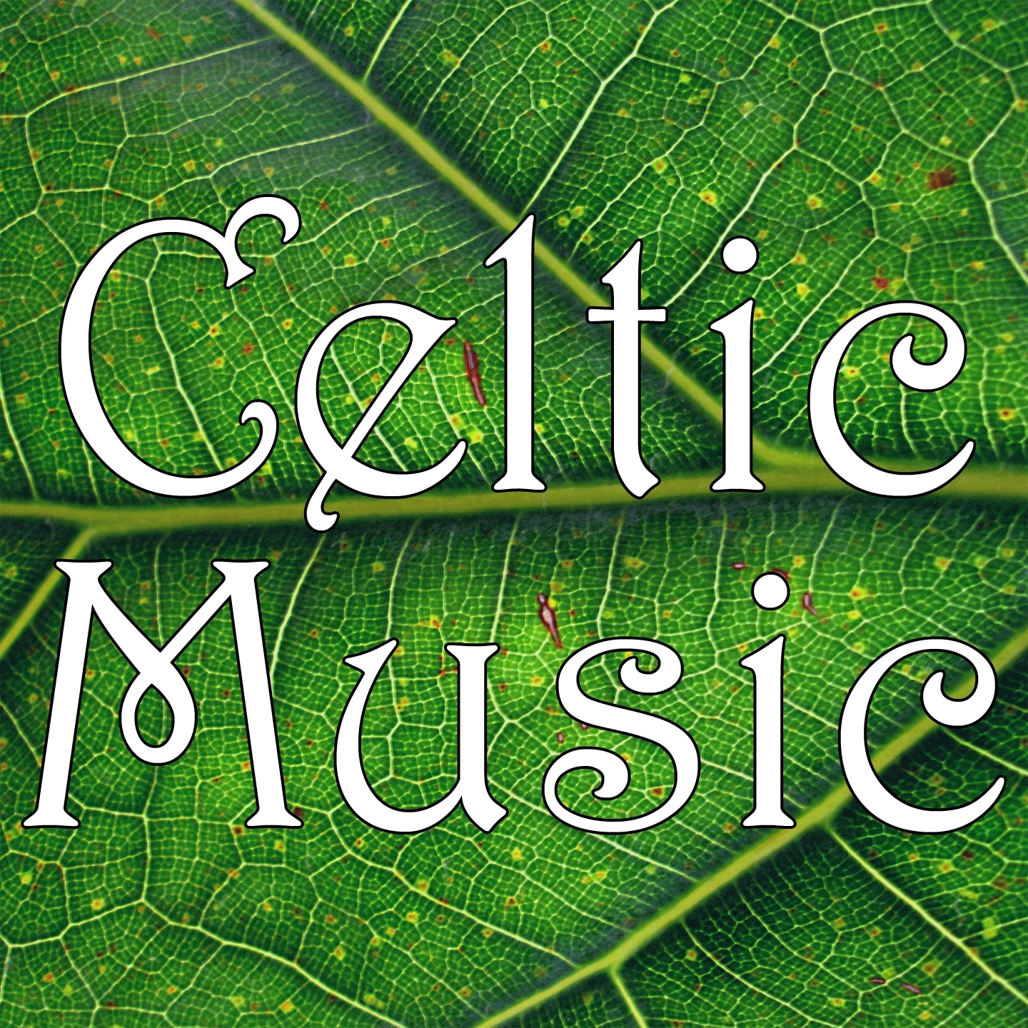 Celtic Music: Irish&Celtic Folk Moods Collection