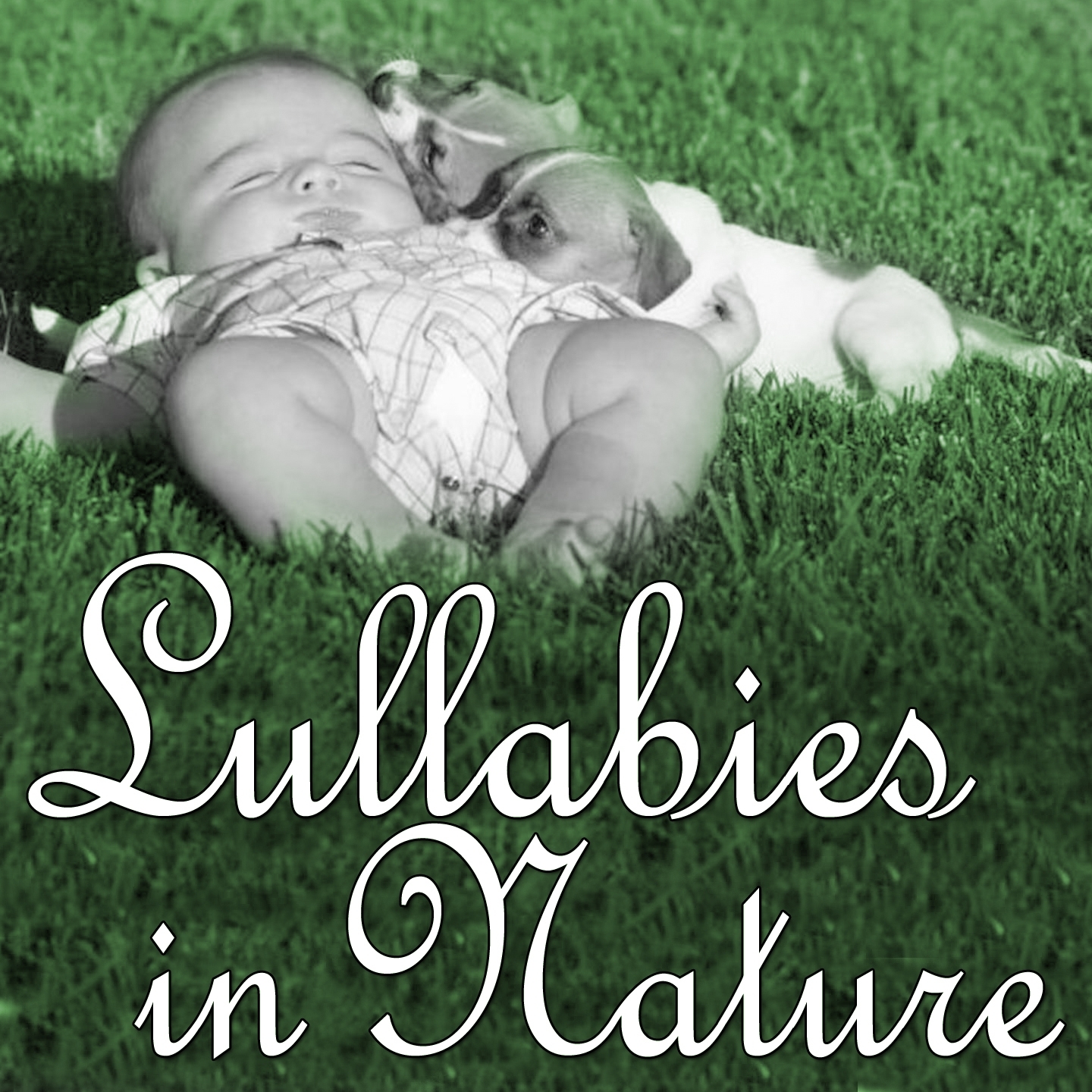 Lullabies in Nature: Sleeping in the Magic Forest
