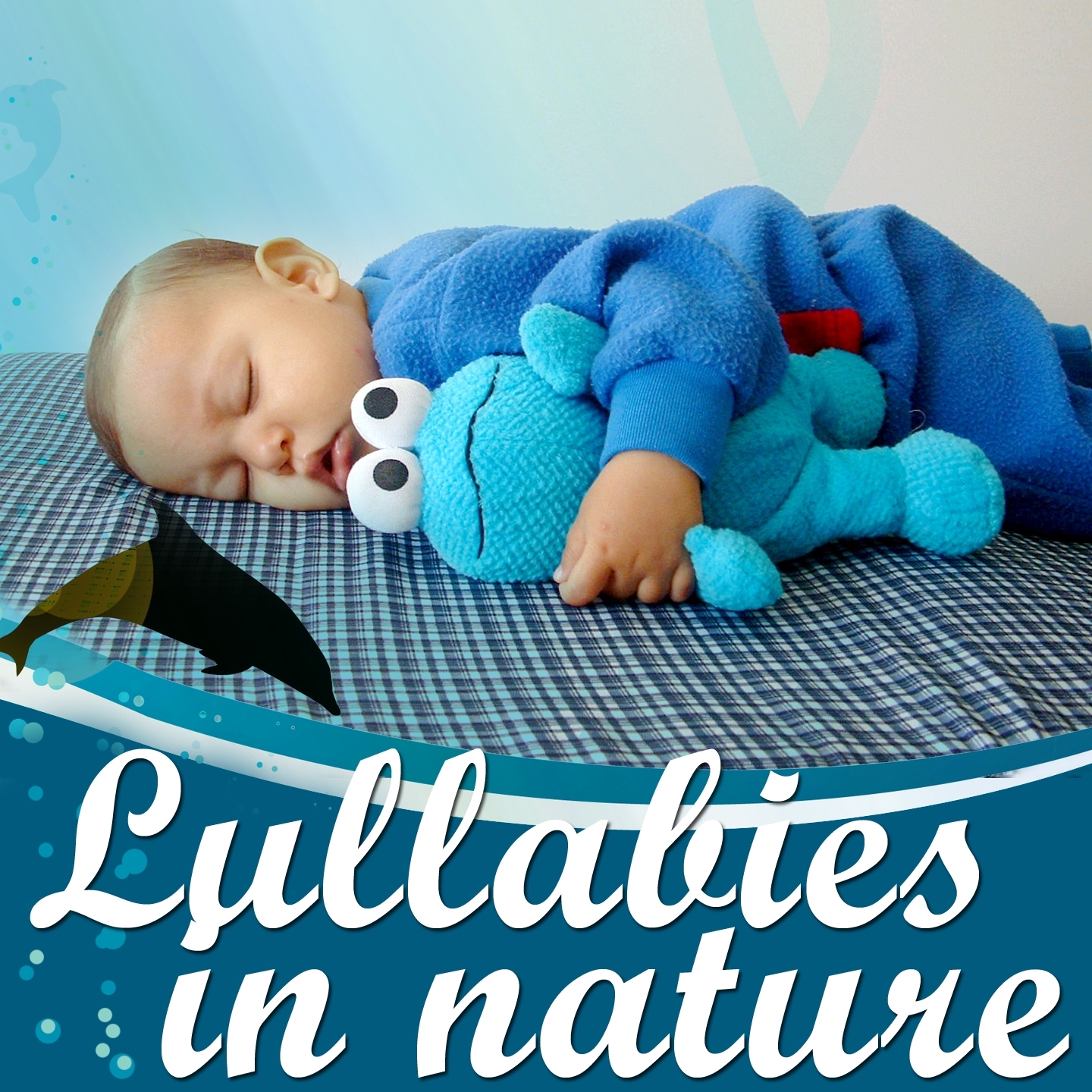 Lullabies in Nature: Sleeping With Dolphins