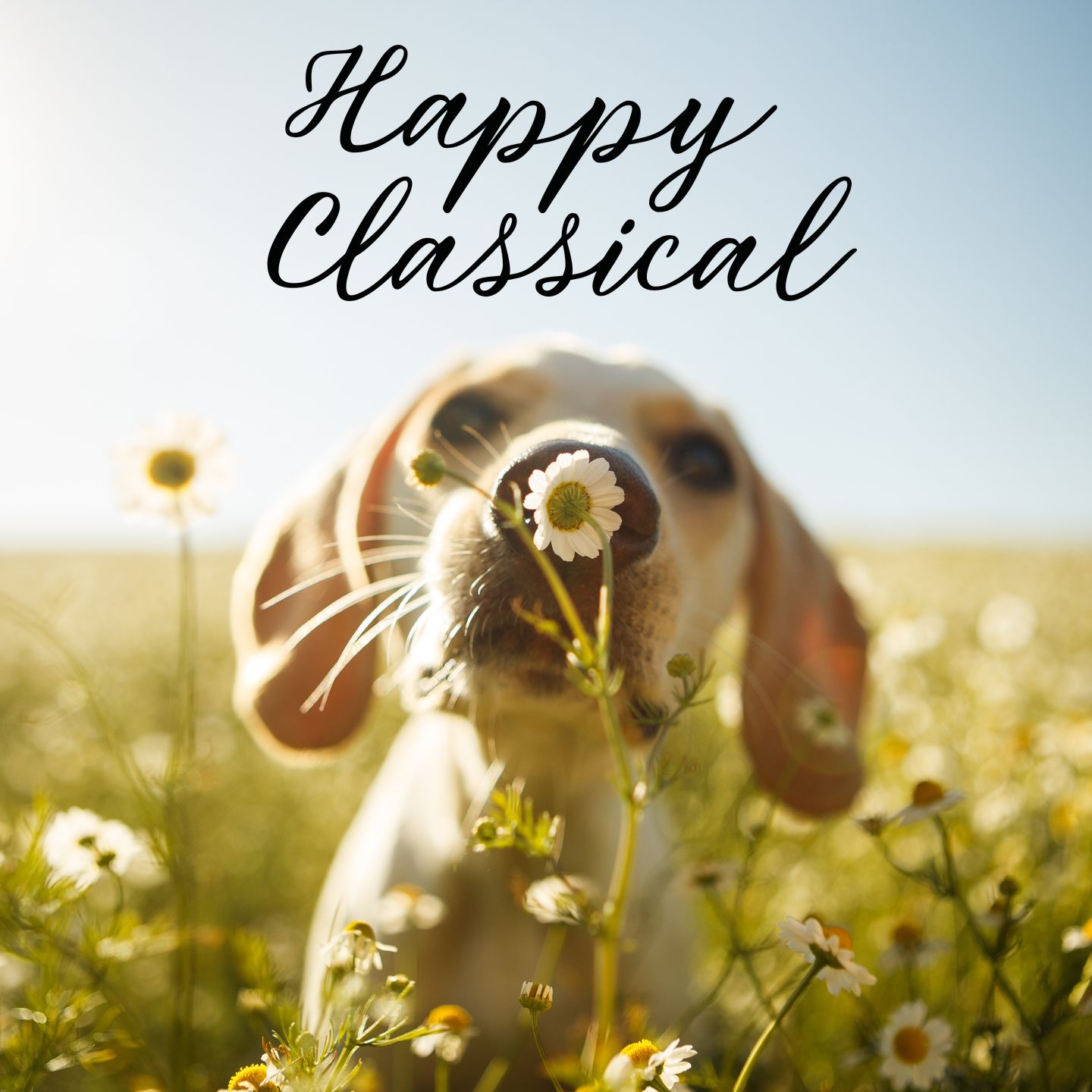 Happy Classical Music | Uplifting, Inspiring & Motivational