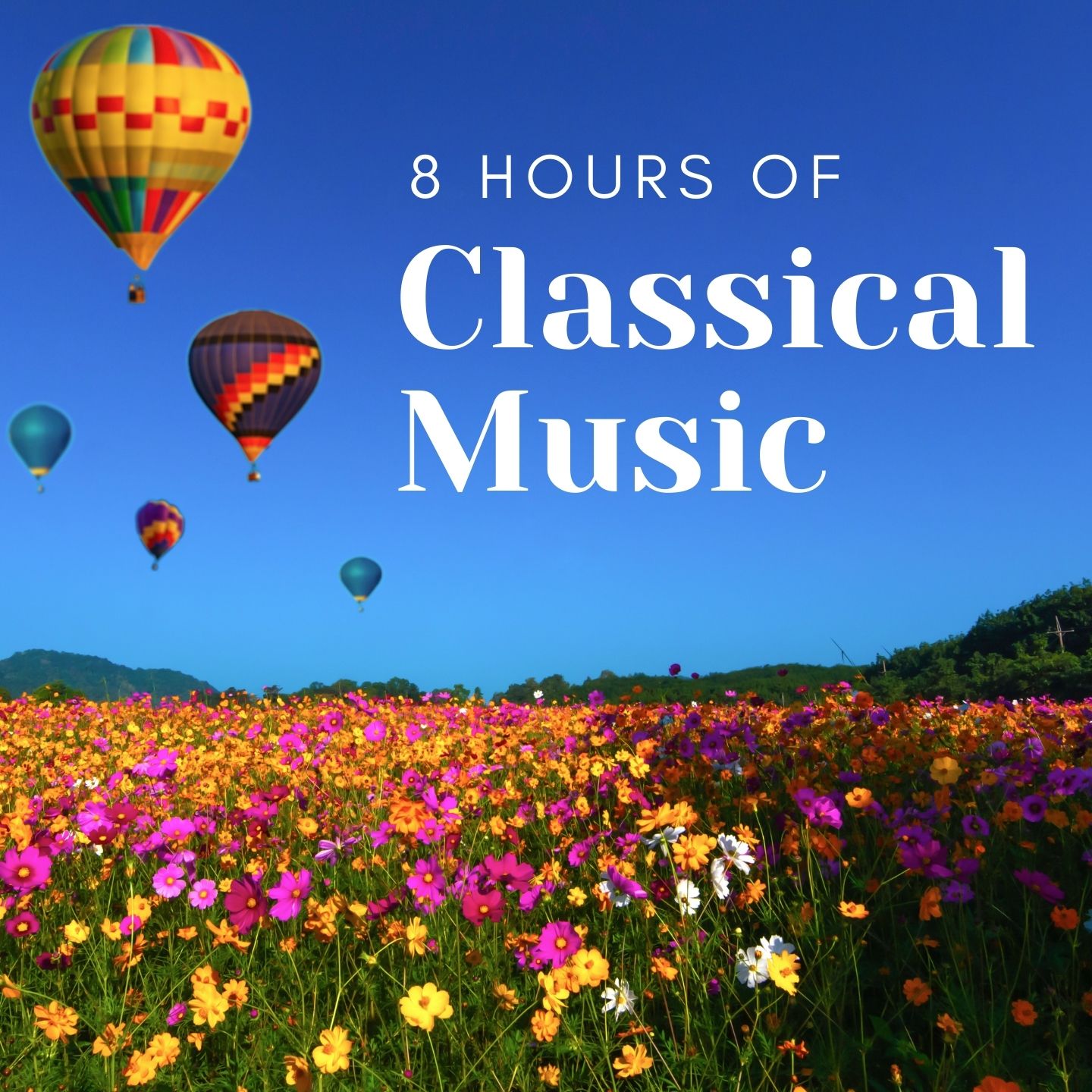 8 Hours Classical Music Halidon