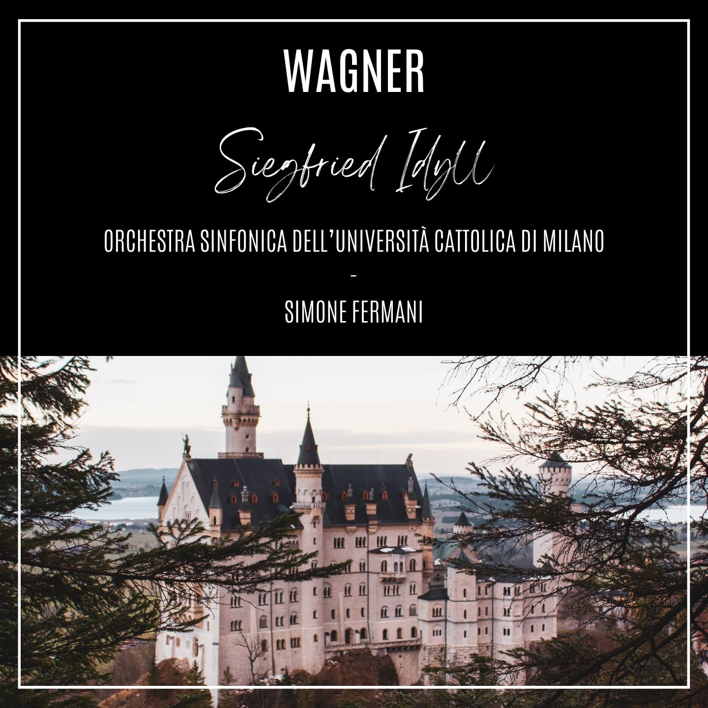 Siegfried-Idyll, WWV 103 (Live)
