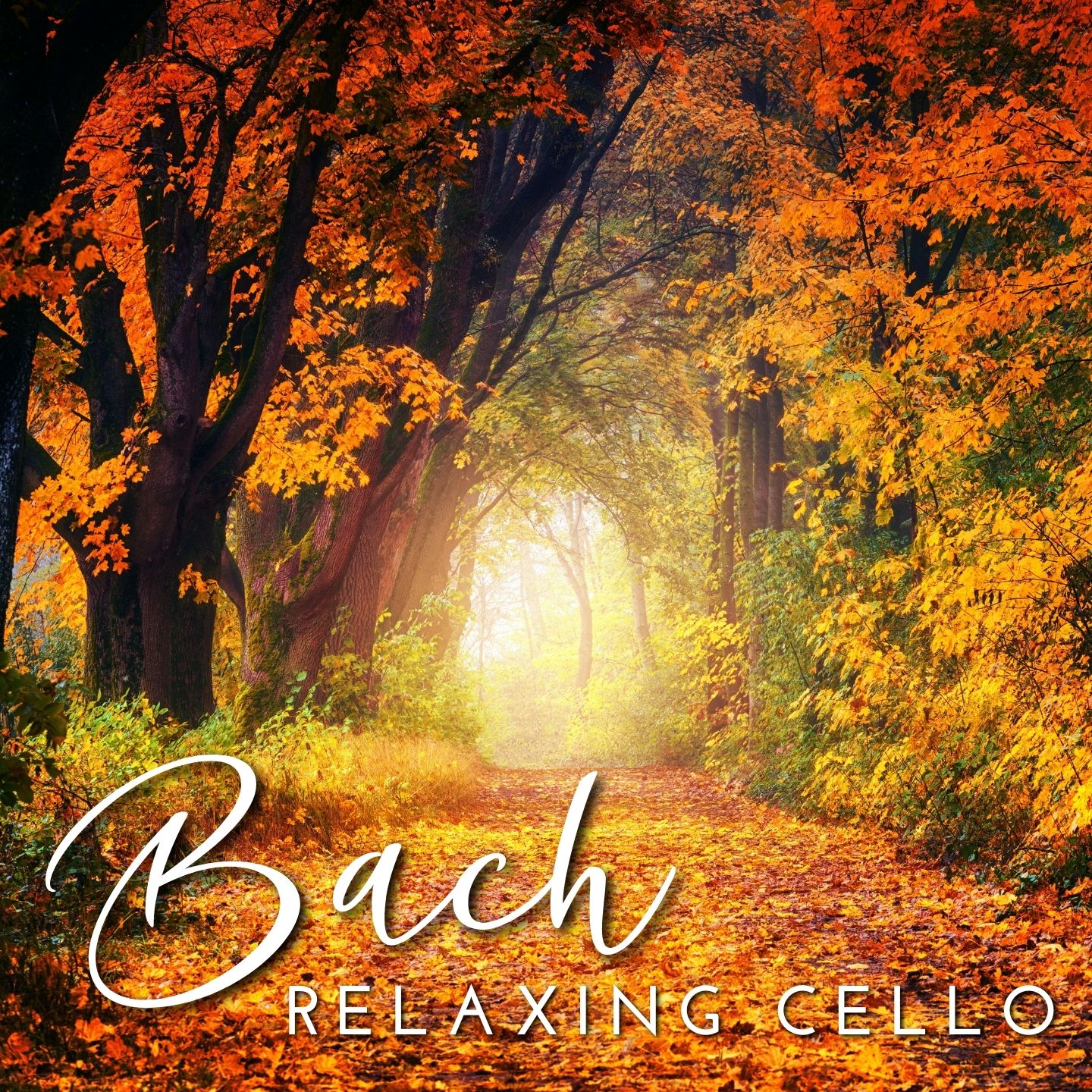 Bach - Relaxing Cello