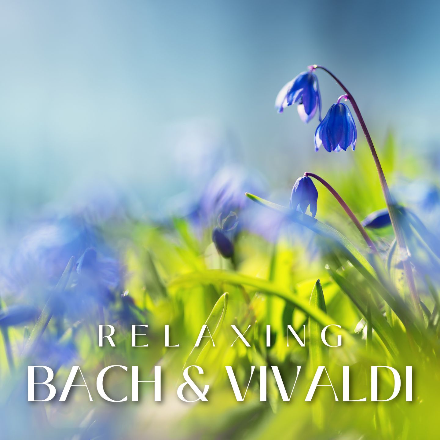 Bach and Vivaldi - Classical Music for Relaxation