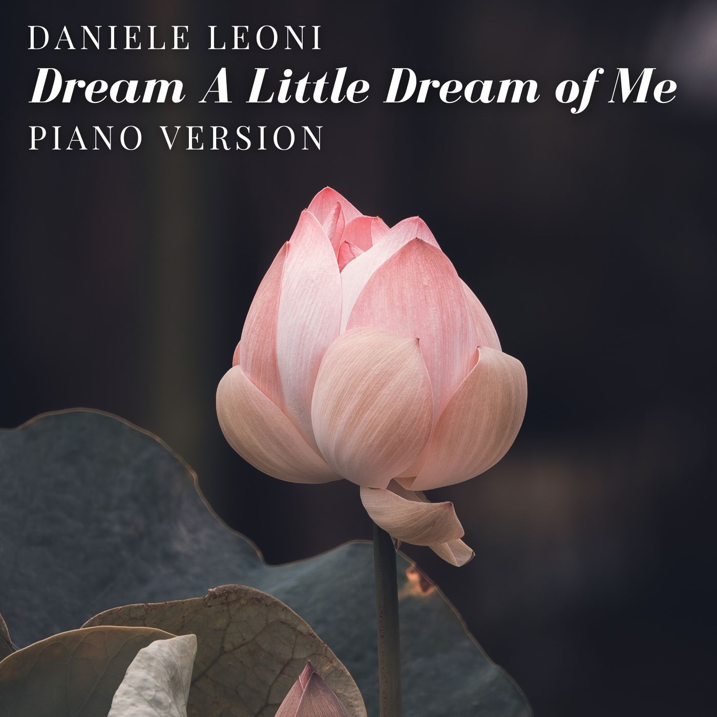 Dream a Little Dream of Me (Piano Version)