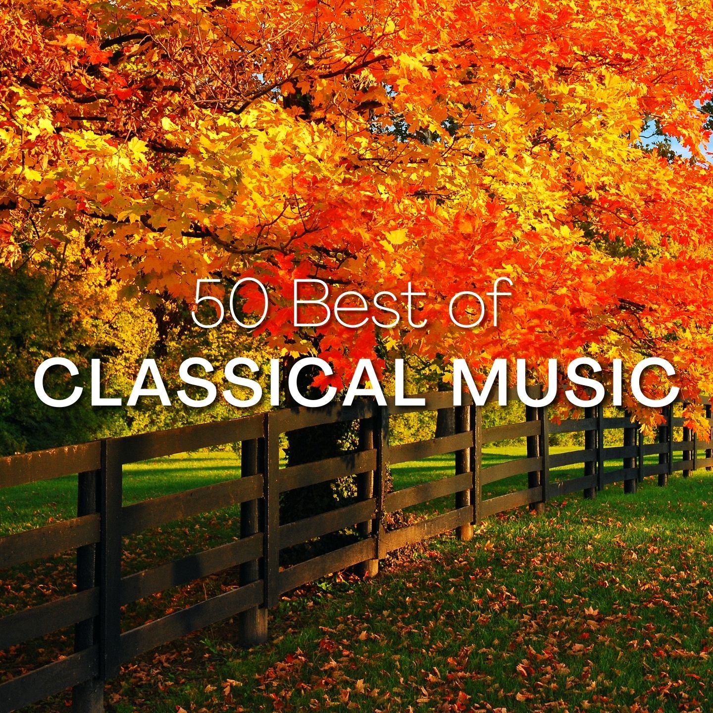 50 Best Of Classical Music Halidon