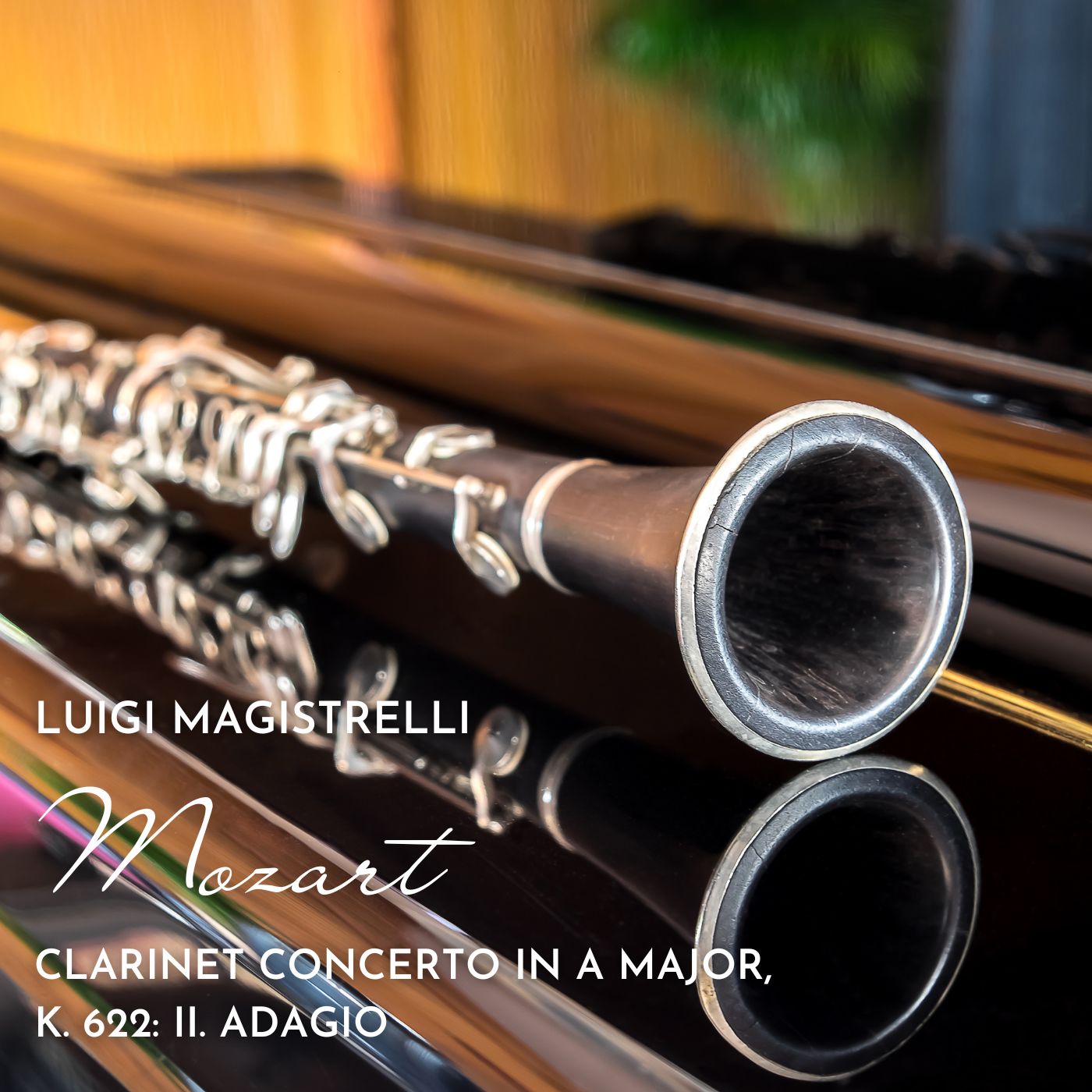 Clarinet Concerto in A major, K. 622: II. Adagio