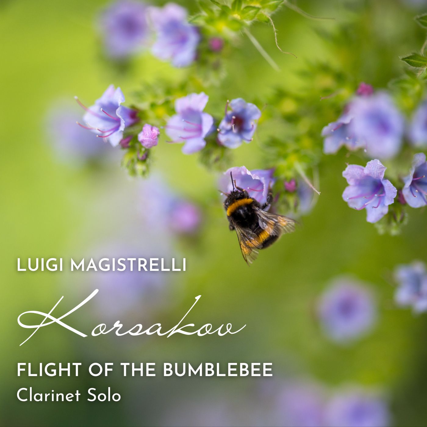 Flight of the Bumblebee (Clarinet Solo)