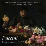 Crisantemi, SC 65 (Live)