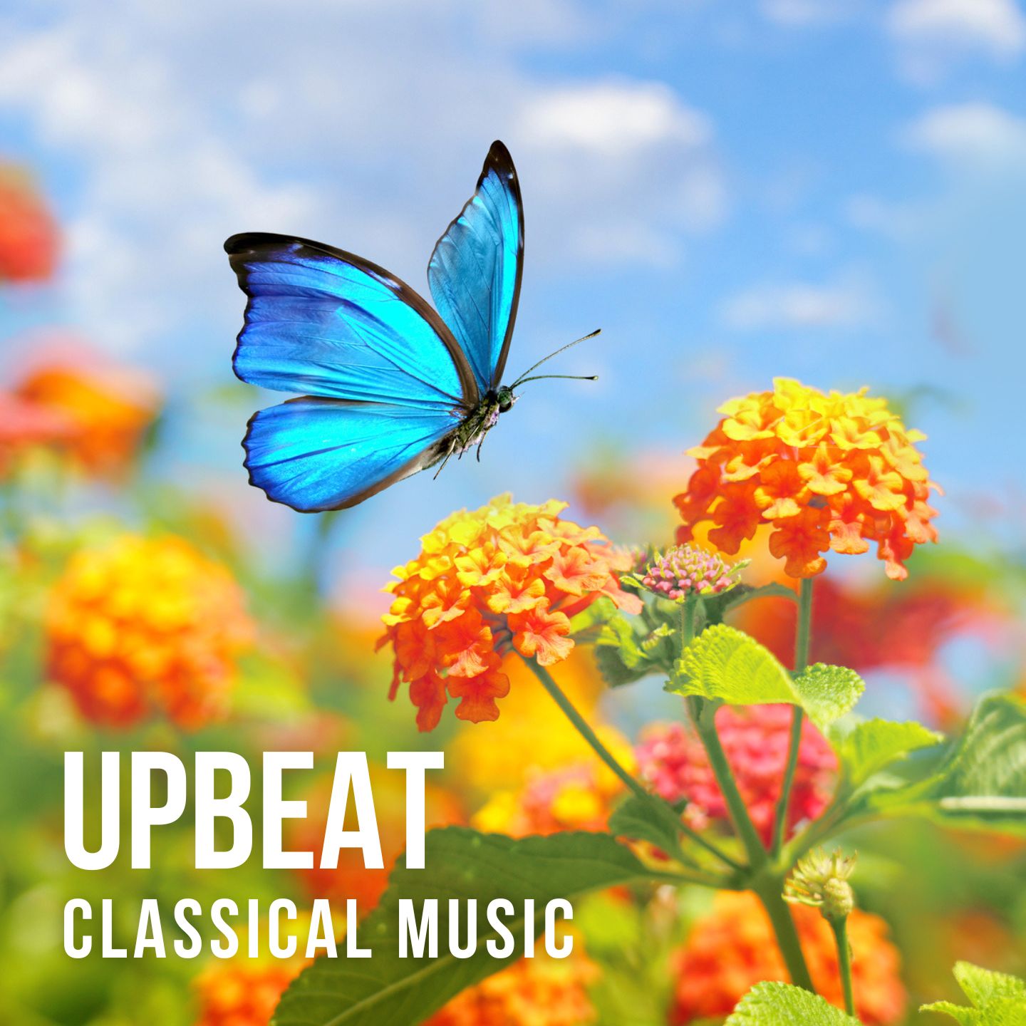 Upbeat Classical Music