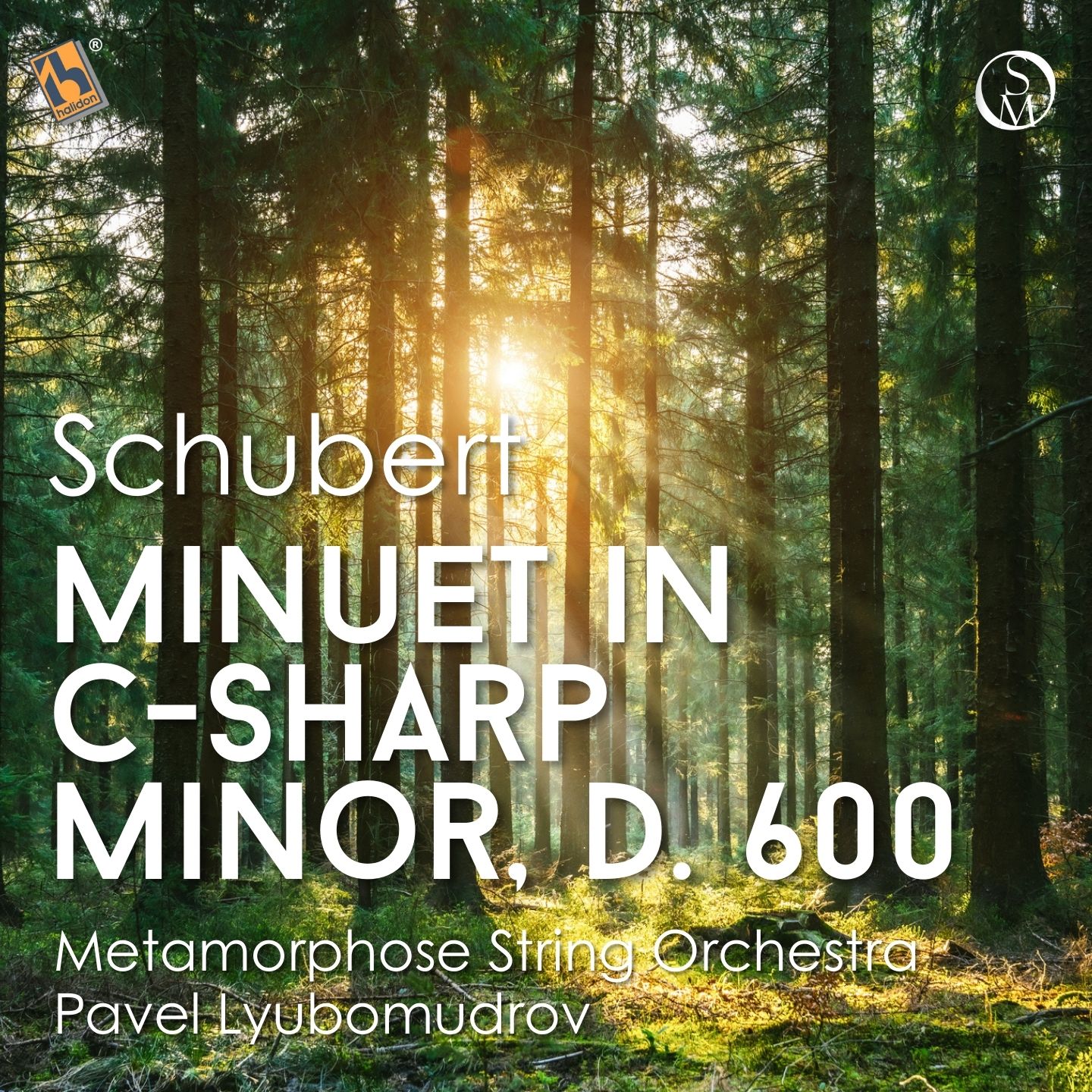 Schubert: Minuet in C-sharp Minor, D. 600