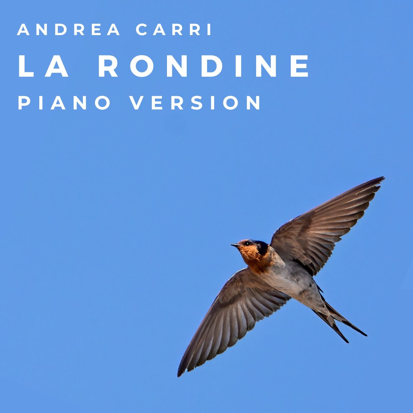 La Rondine (Piano Version)