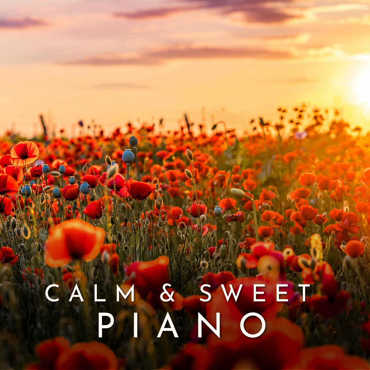 The Best Piano Pieces - Calm and Sweet Melodies