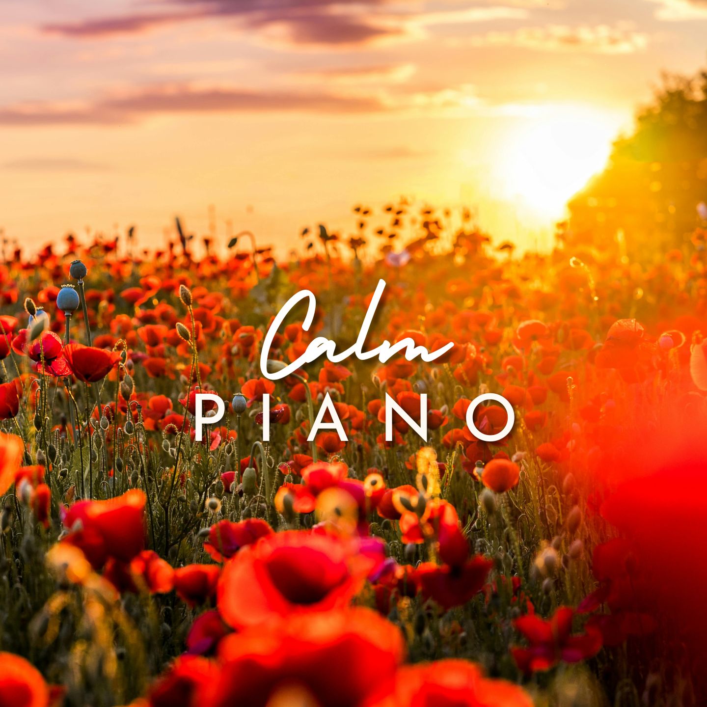 The Best Piano Pieces - Calm and Sweet Melodies