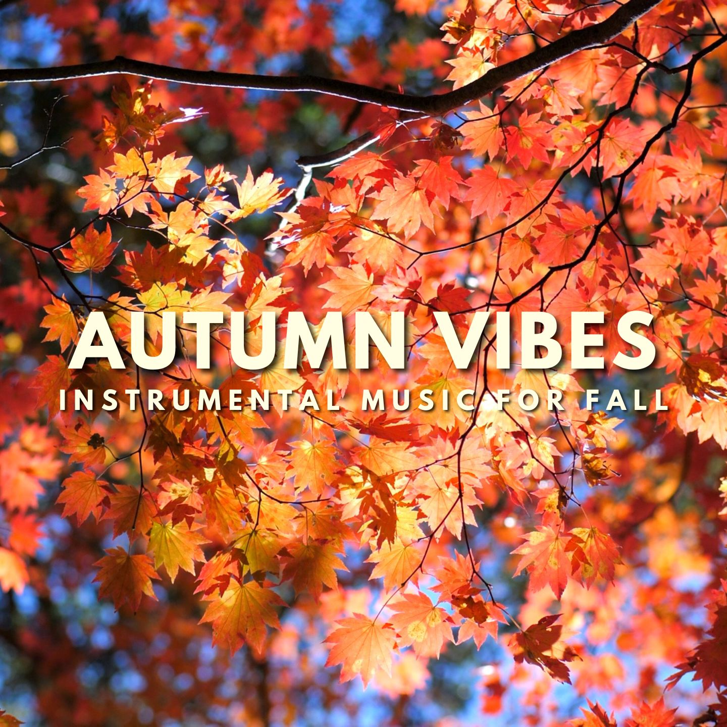 Autumn Vibes | Autumn Vibes | Instrumental Music for Fall