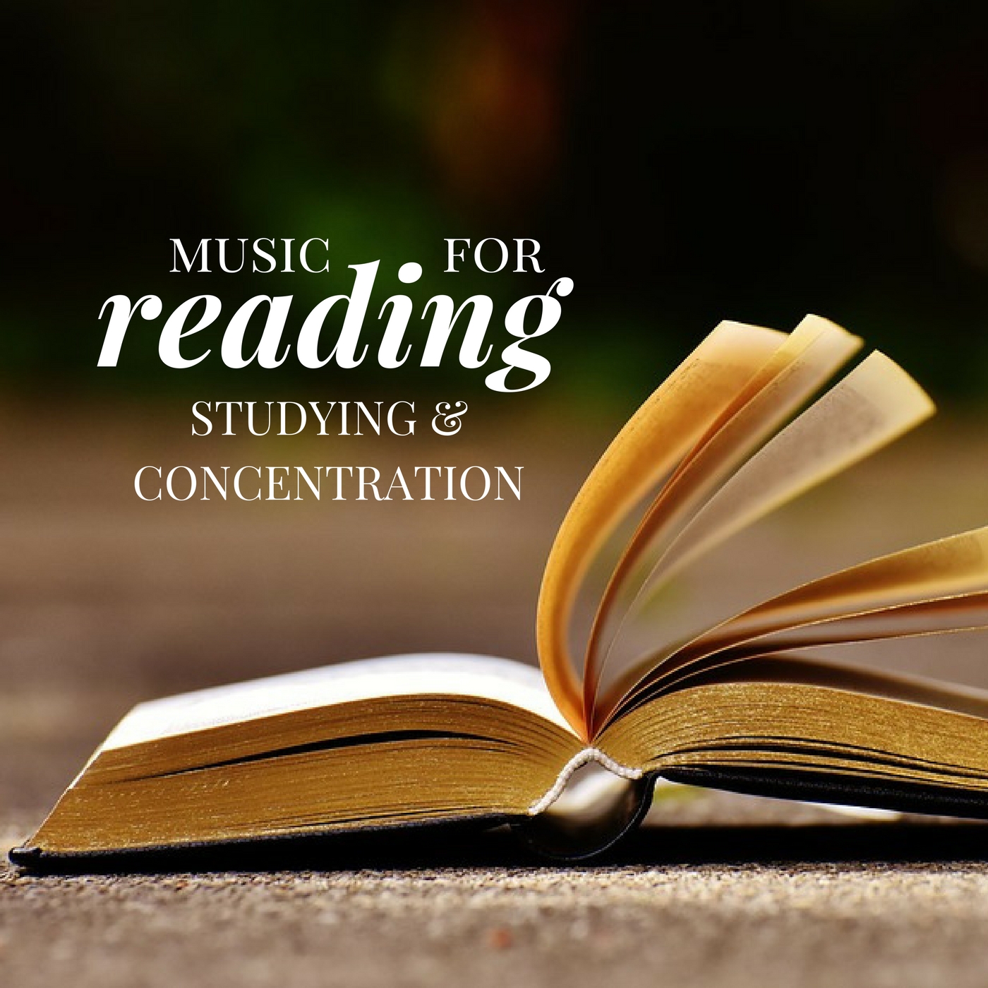 Relaxing Music for Studying, Concentration, Reading | Piano Pieces