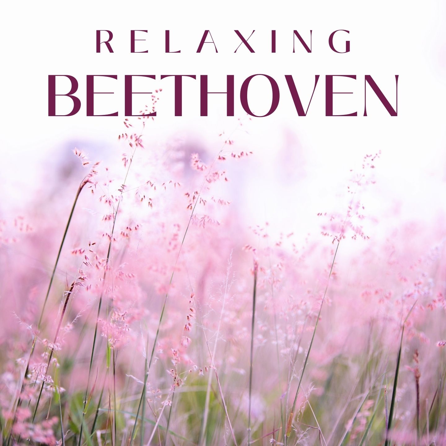 Beethoven: Classical Music for Relaxation