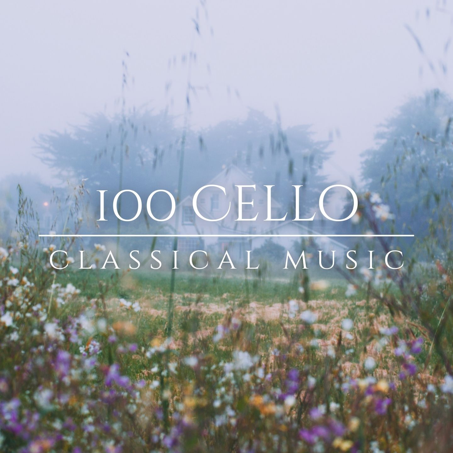 100 Cello - Classical Music - Halidon