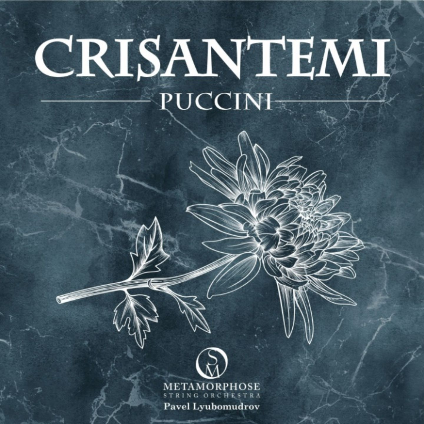 Crisantemi, SC 65