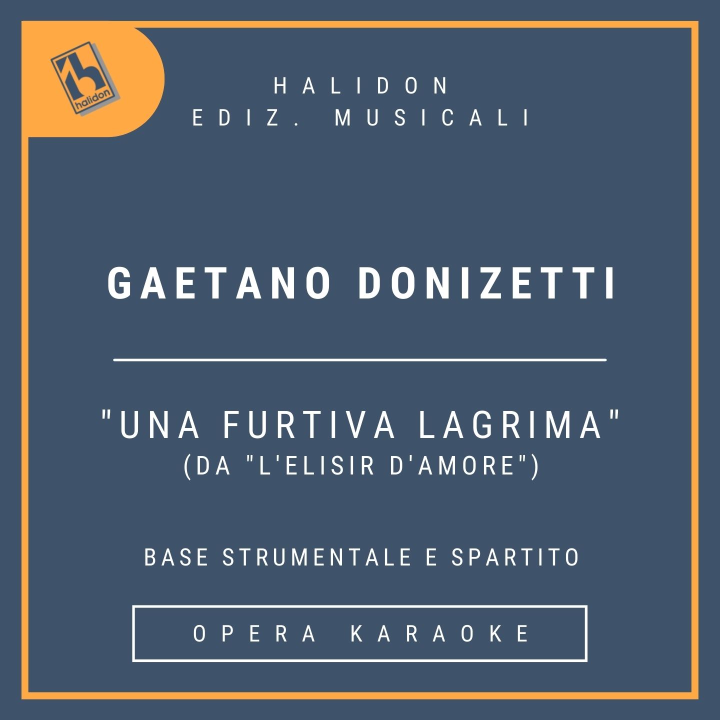 Gaetano Donizetti - Una furtiva lagrima (from 'L'elisir d'amore') - Nemorino's Aria (tenor) - Instrumental track (original tone and transposed) + sheet 