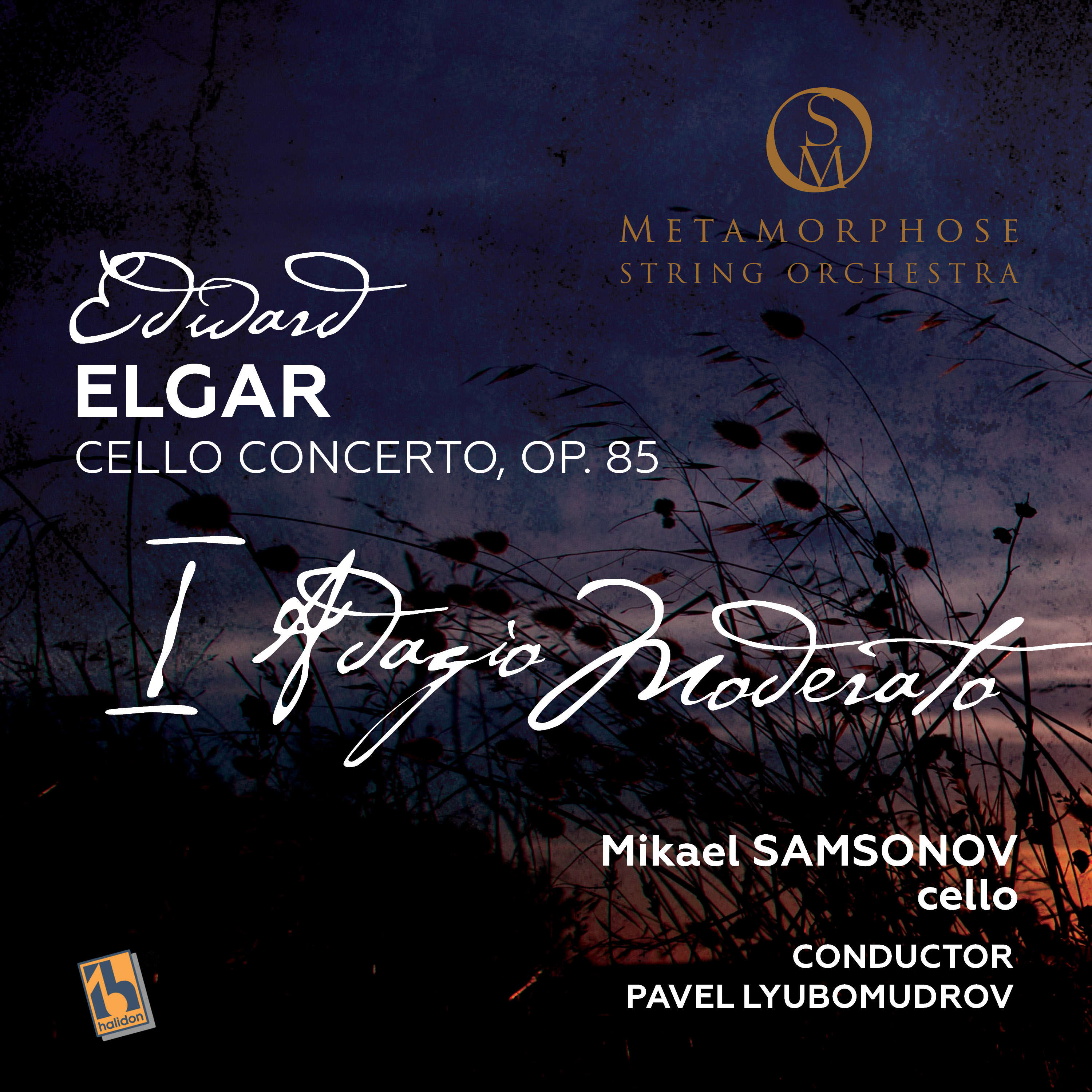 Elgar: Cello Concerto, Op. 85: I. Adagio; Moderato