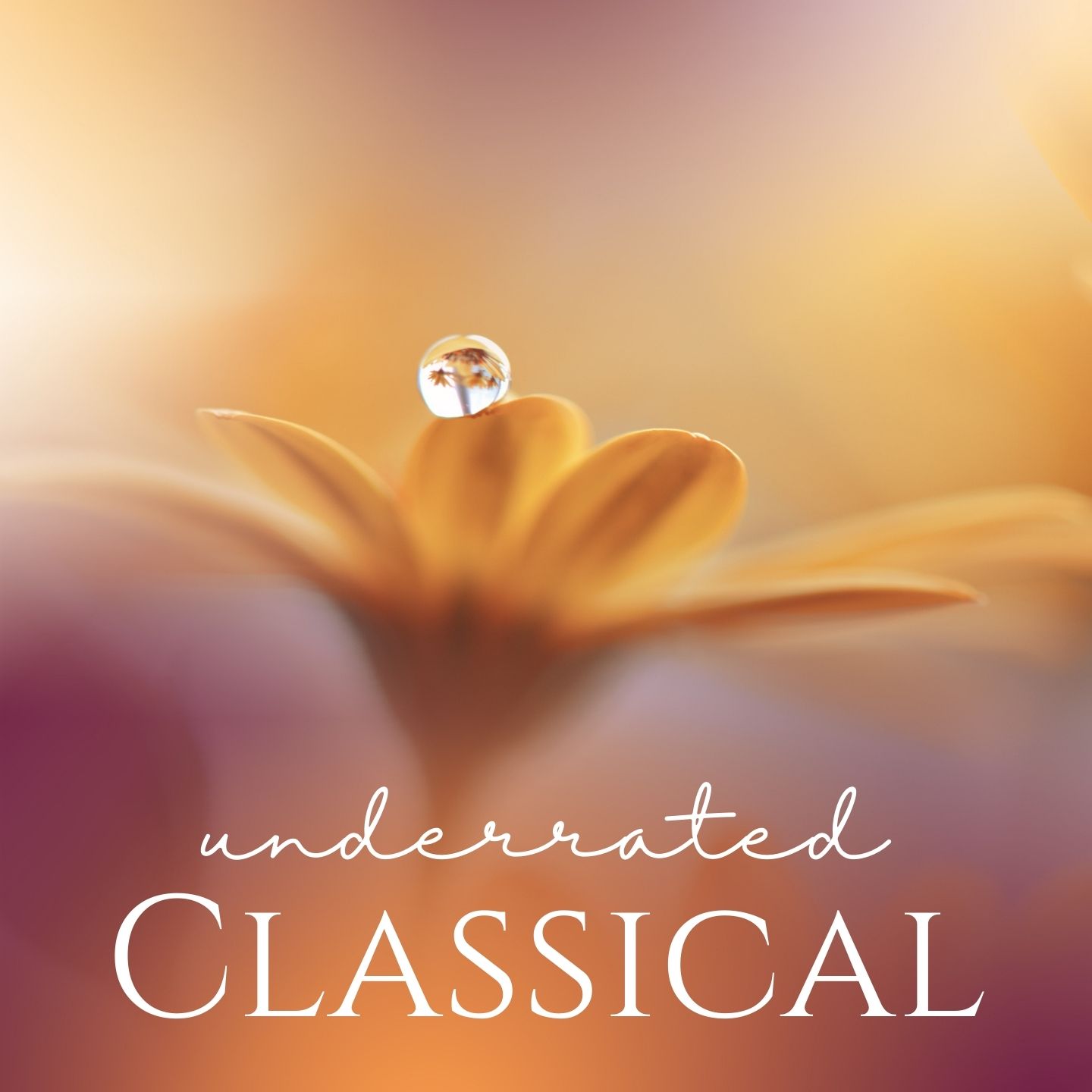 Classical Gems - Underrated Pieces of Classical Music