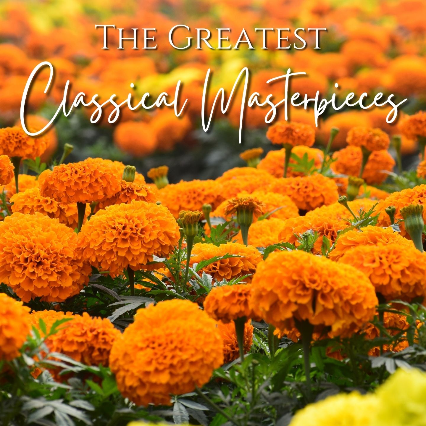 The Greatest Classical Masterpieces