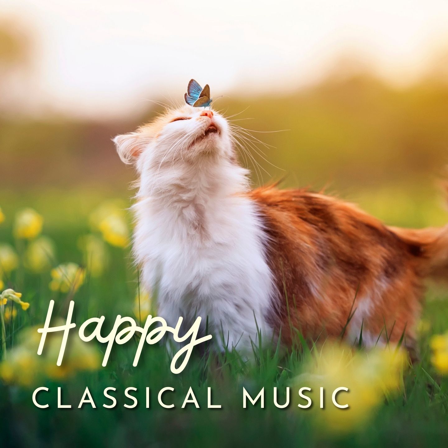 Happy Classical Music