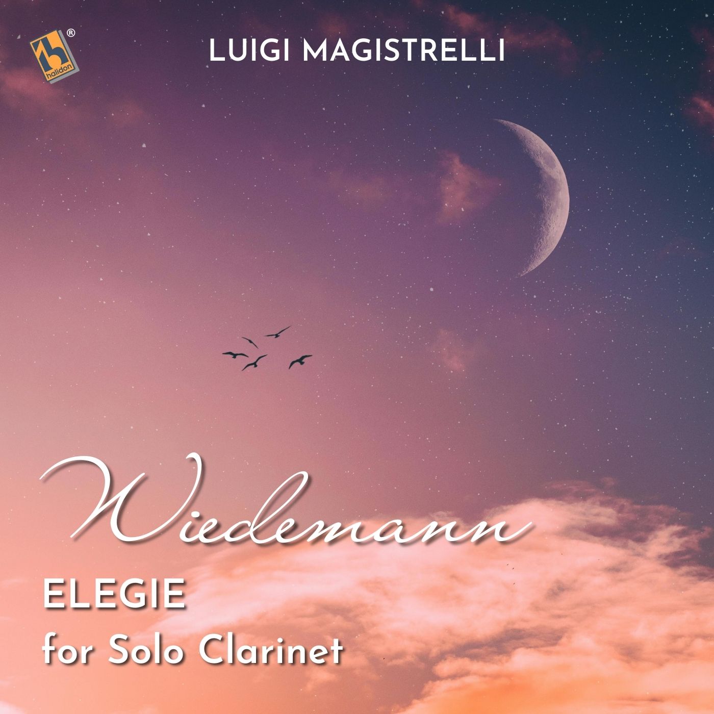 Wiedemann: Elegie (For Solo Clarinet)