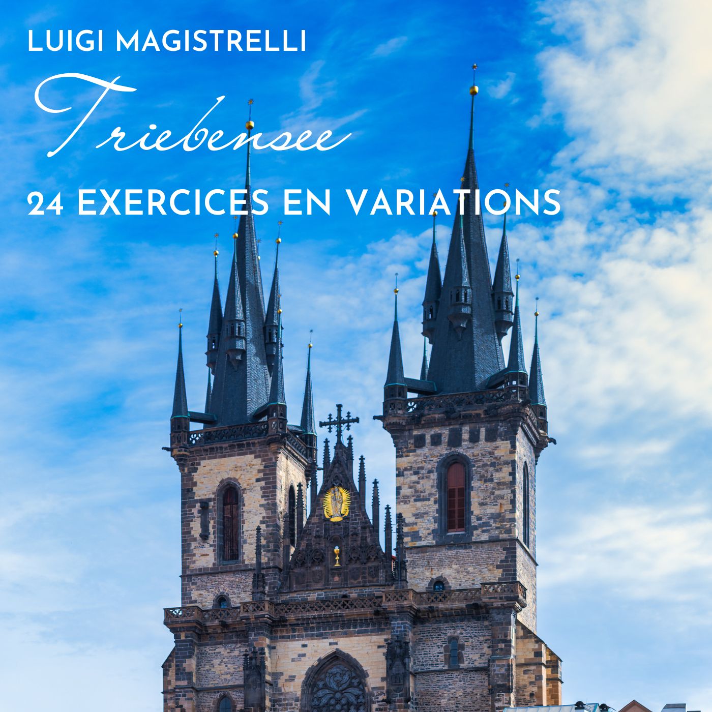 24 Exercices en Variations