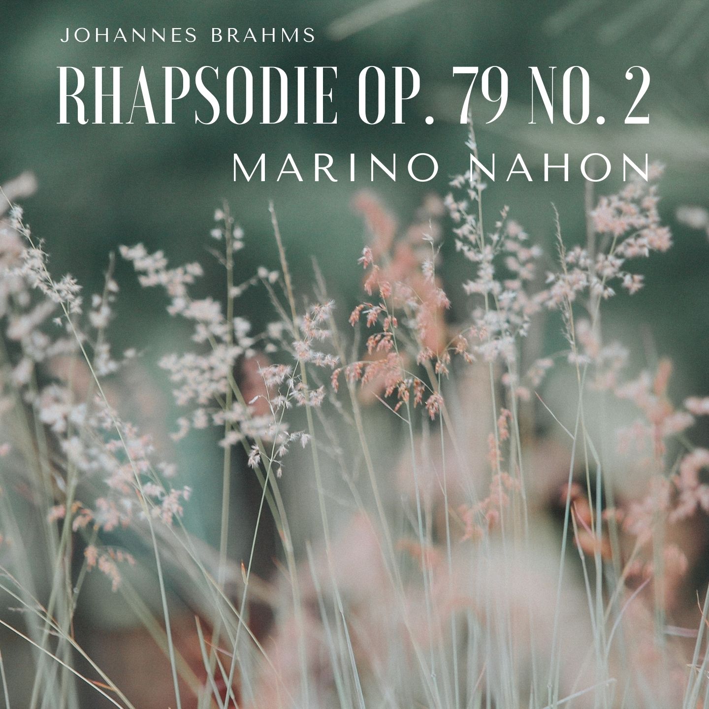 2 Rhapsodies, Op. 79: No. 2, Molto passionato, ma non troppo allegro