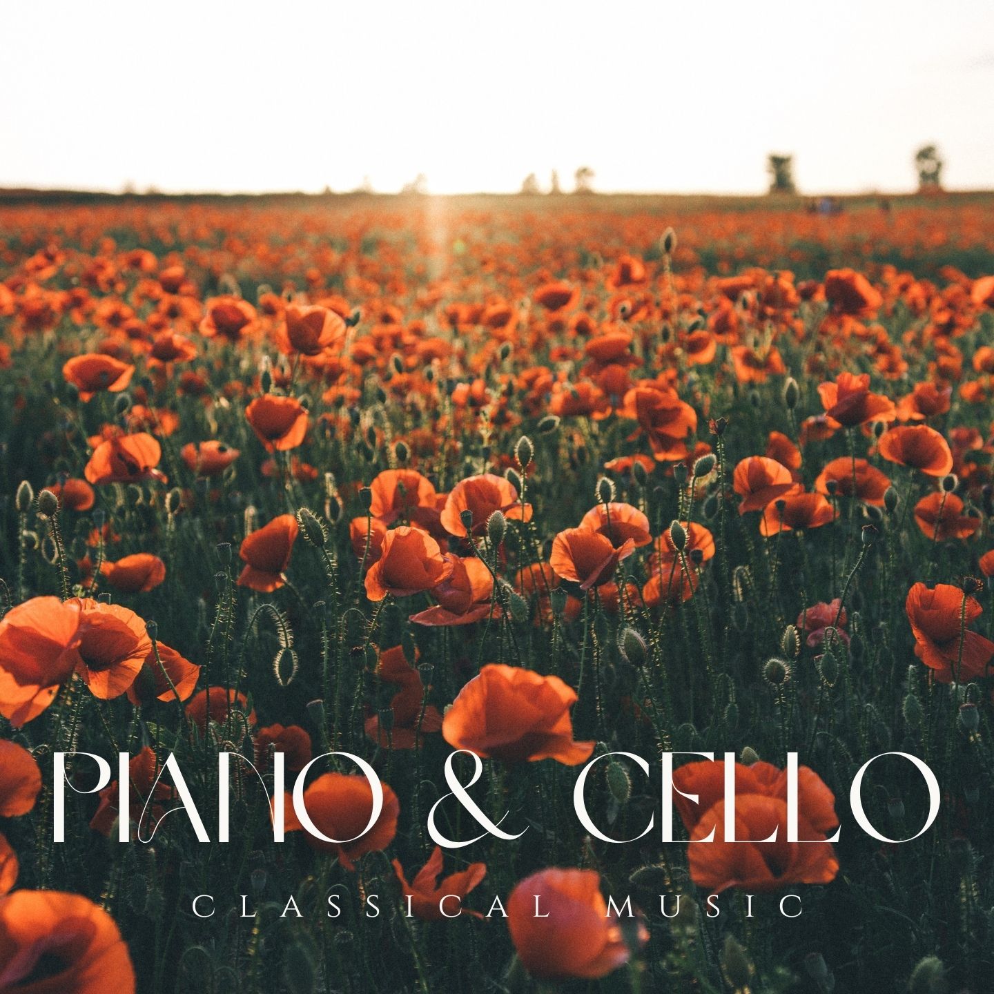 Piano & Cello - Classical Music