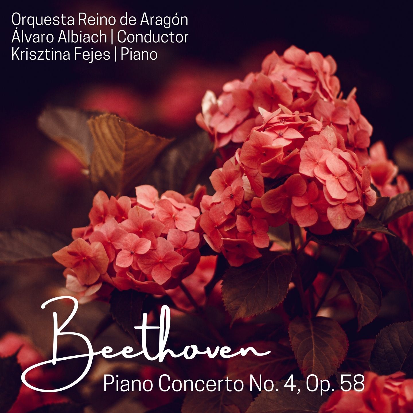Beethoven: Piano Concerto No. 4, Op. 58
