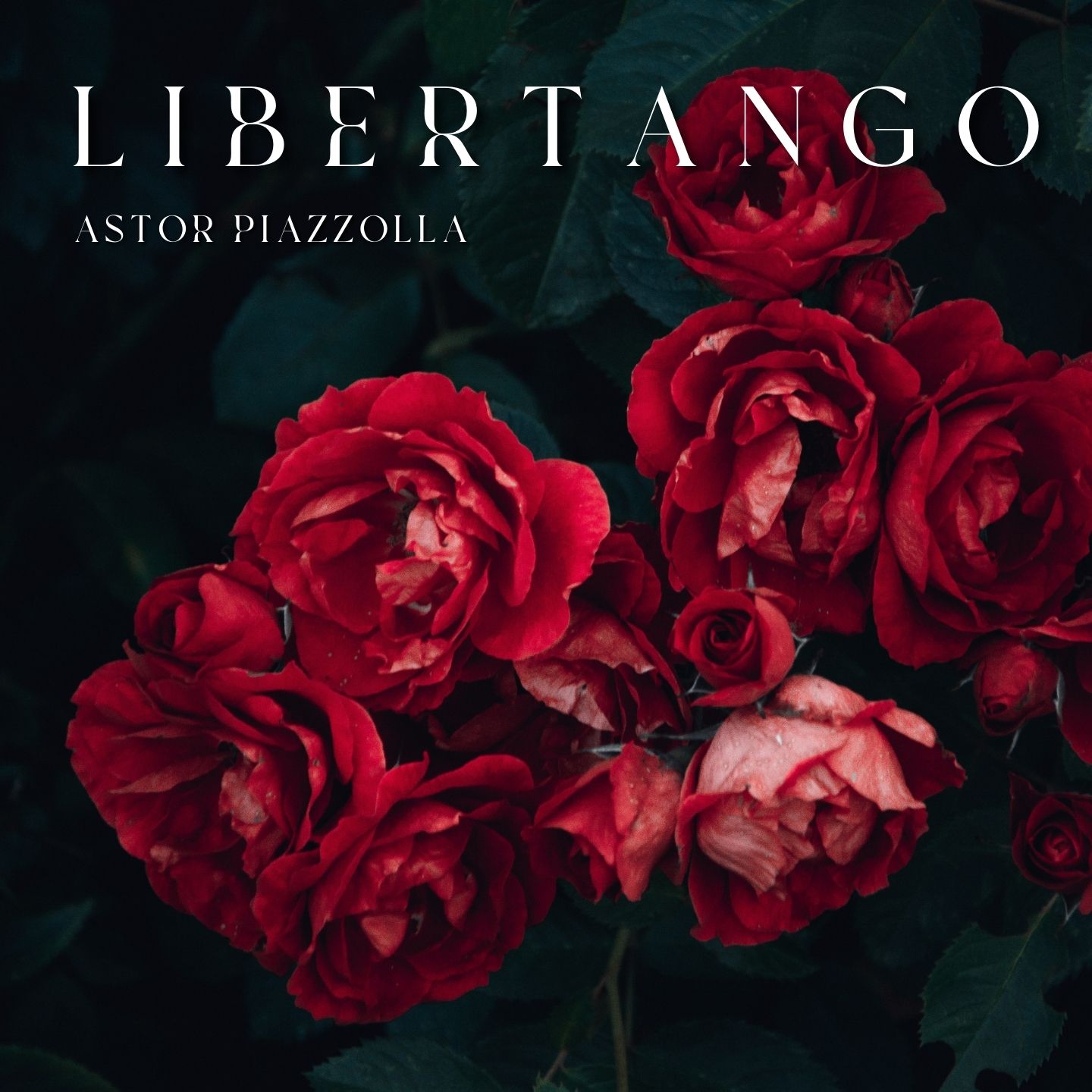 Astor Piazzolla: Libertango