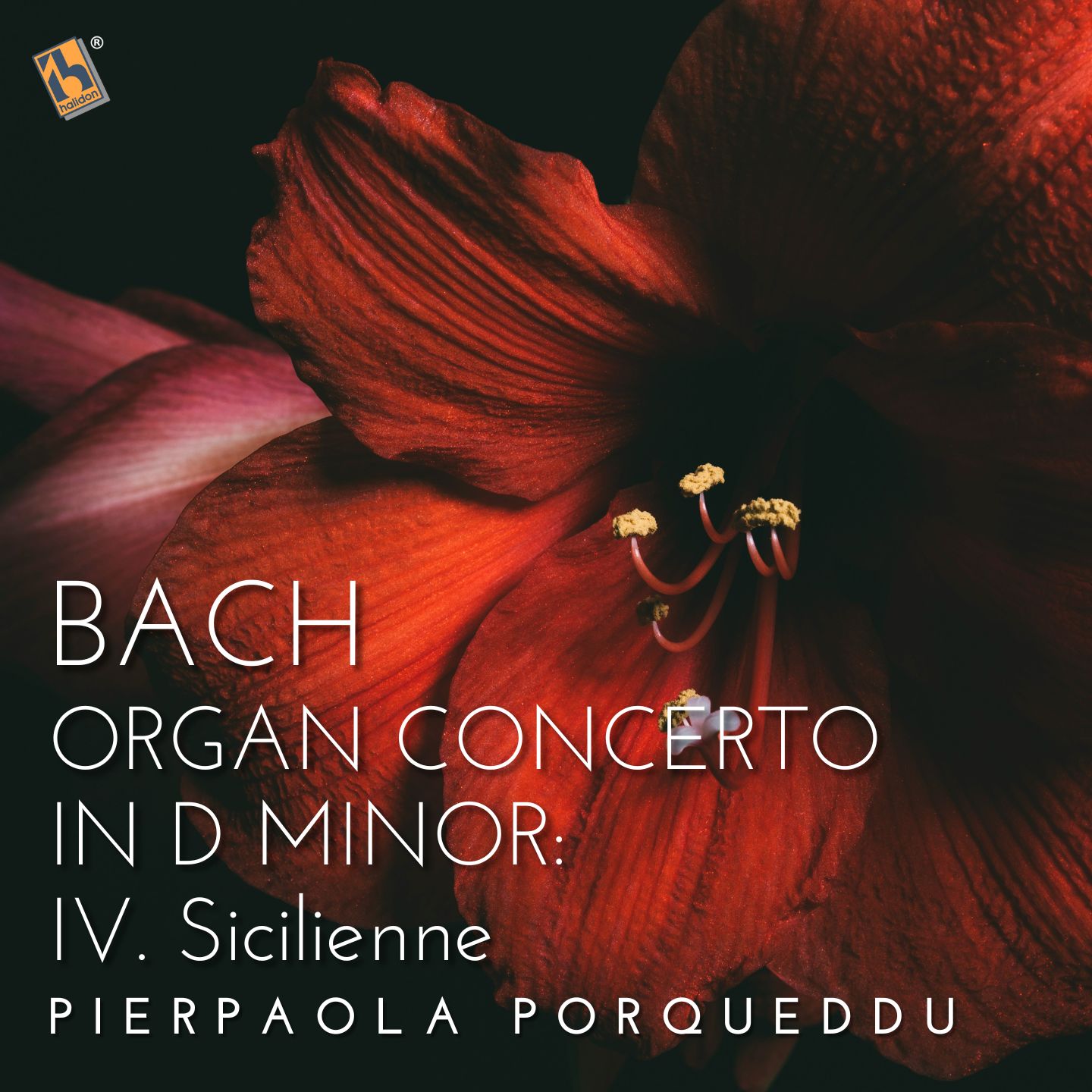 Bach: Organ Concerto in D minor, BWV 596: IV. Sicilienne, Largo e spiccato (after Antonio Vivaldi’s Concerto for 2 Violins and Cello in D minor, RV 565)