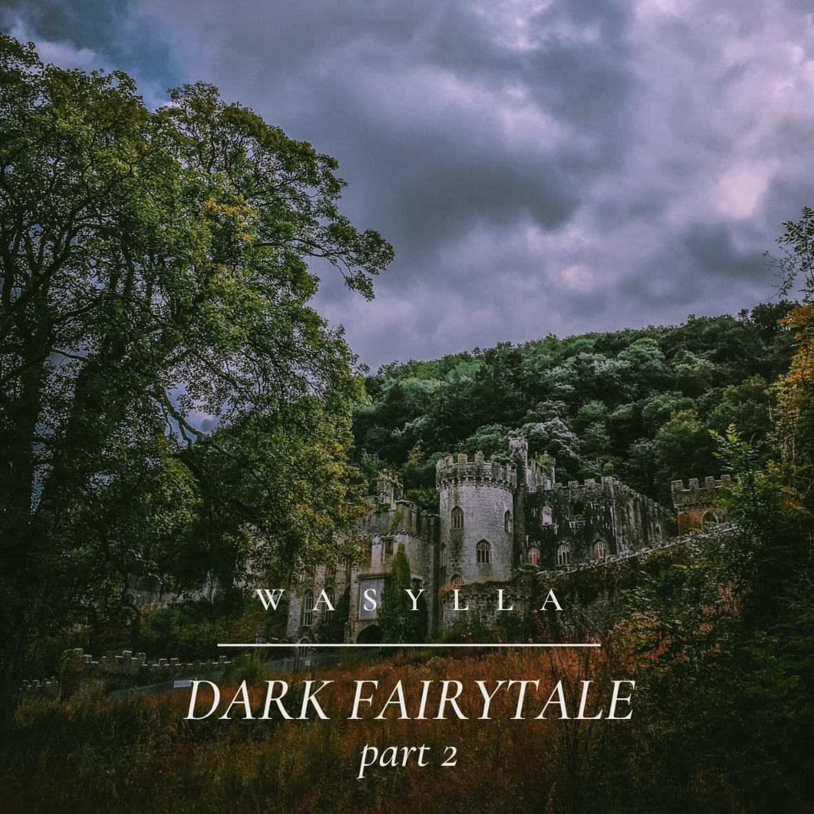 Dark Fairytale part 2