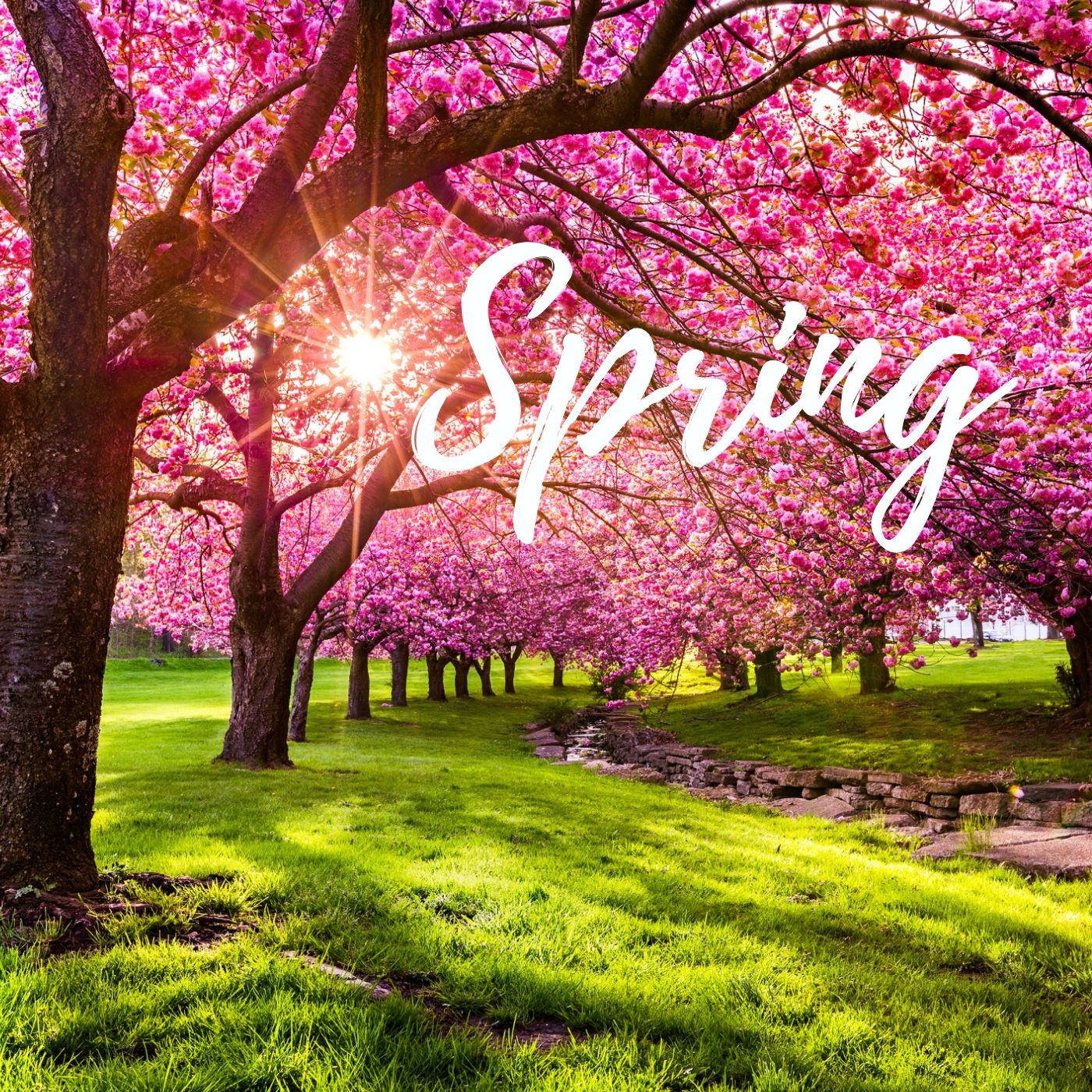 Classical Music for Spring