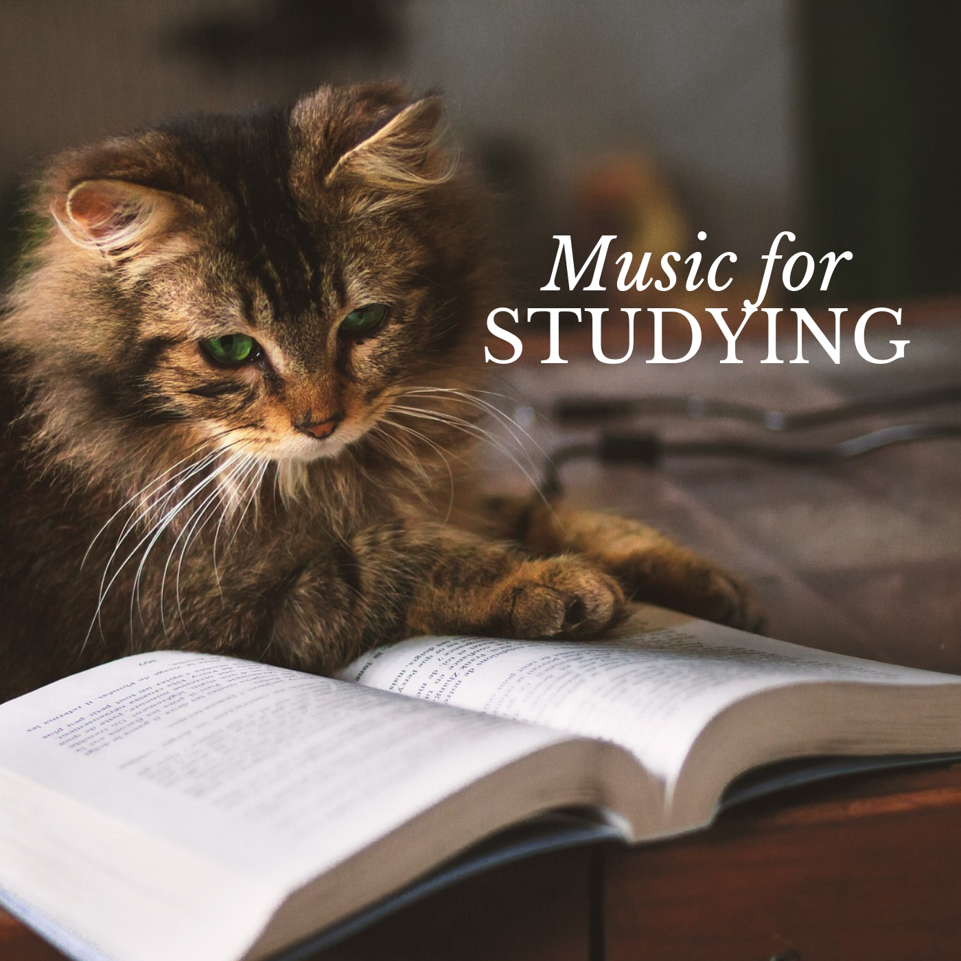 Classical Music for Studying & Brain Power