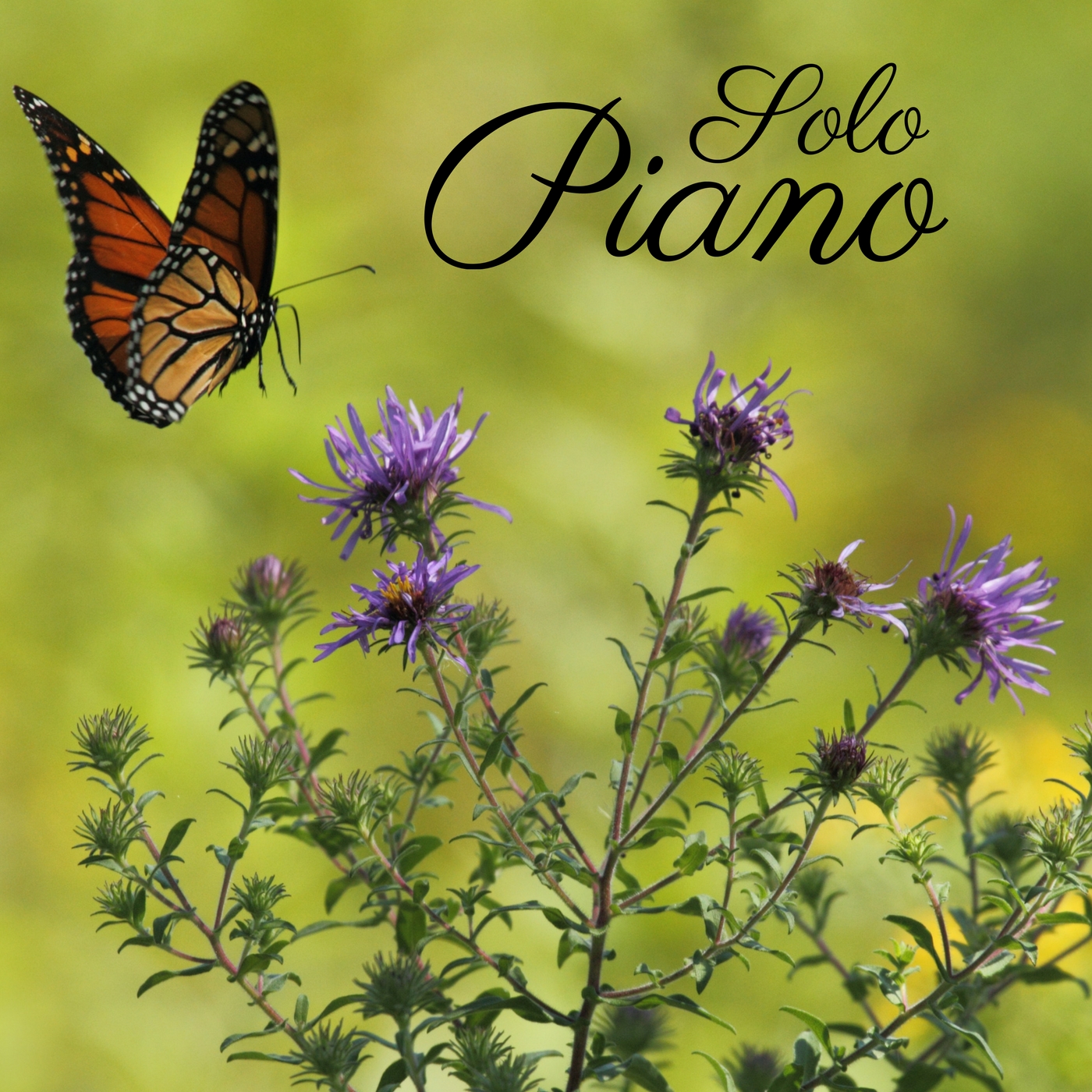 Piano Solo – Classical Music for Relaxation