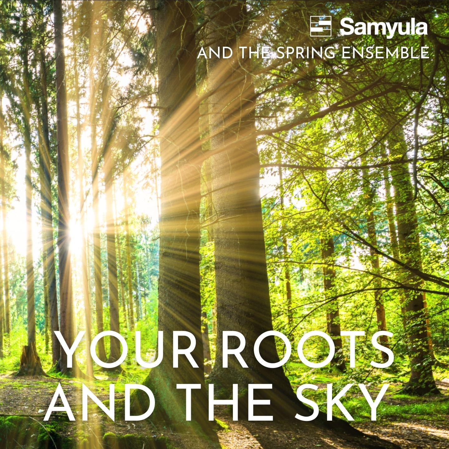Your Roots and the Sky